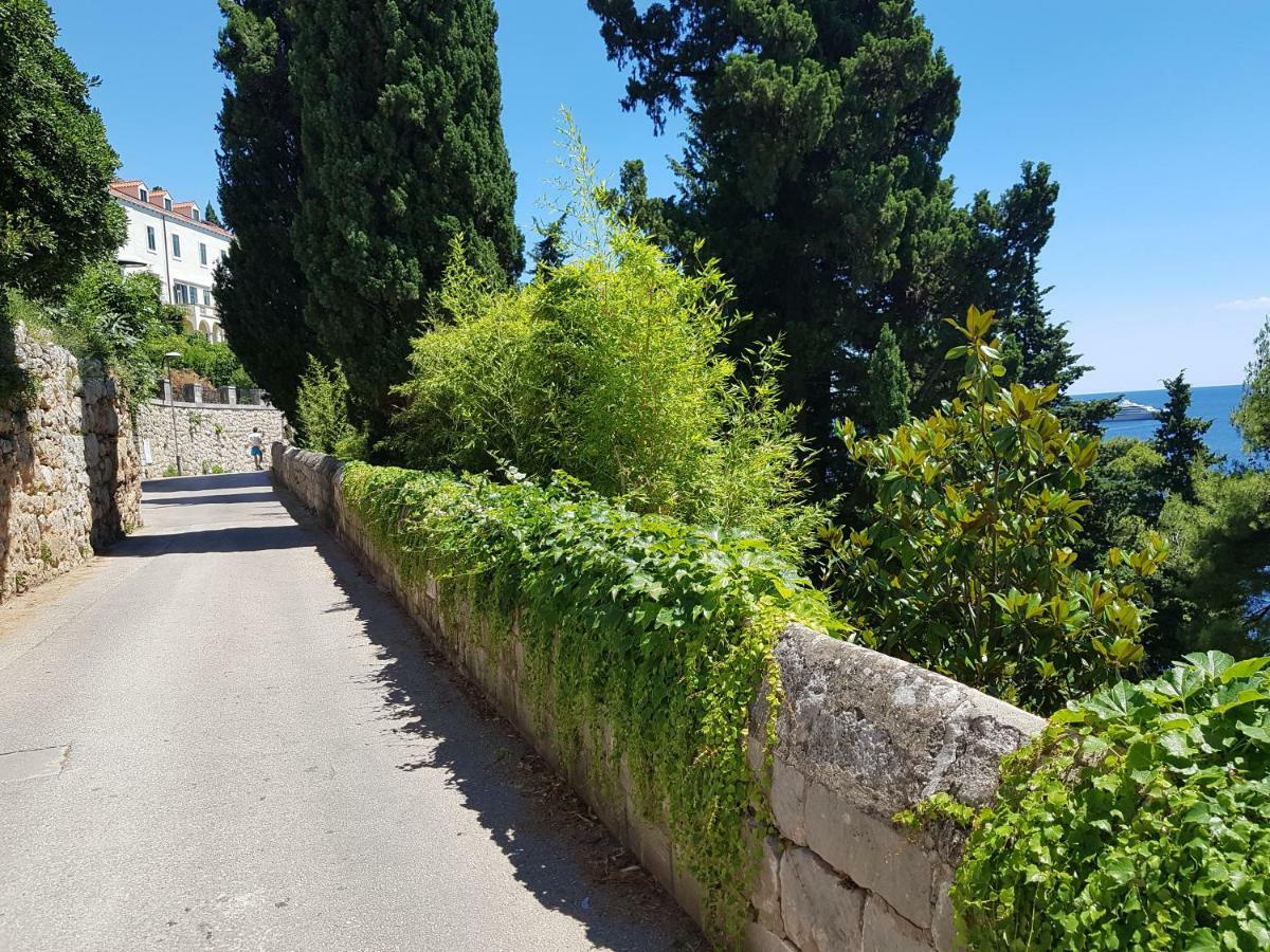 Villa Palmera Dubrovnik Eksteriør billede
